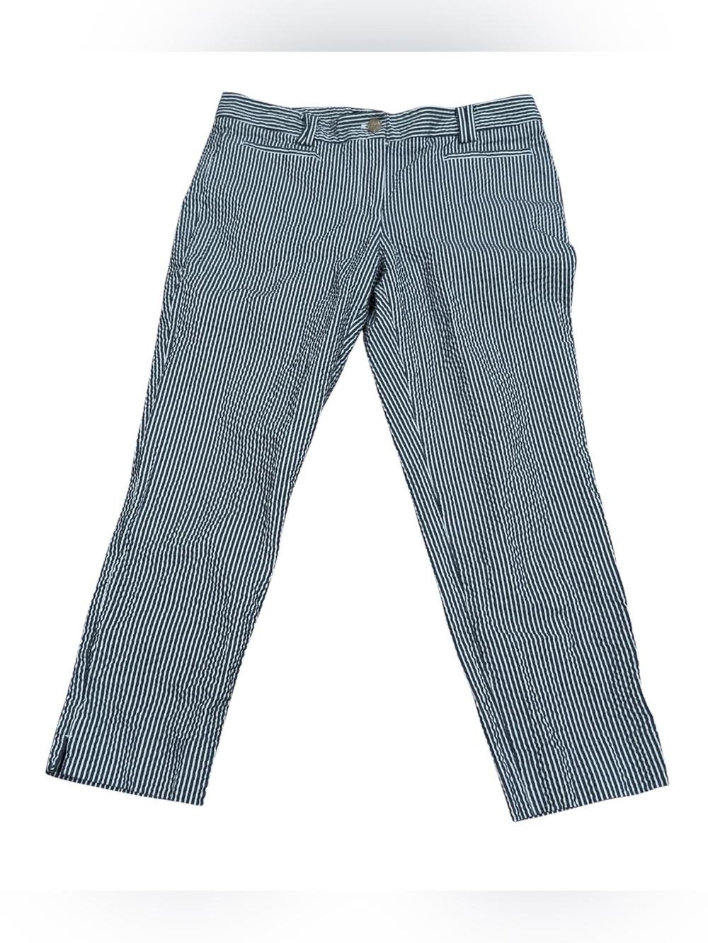 Ann Taylor Navy and White Striped Chinos Pants Size 8